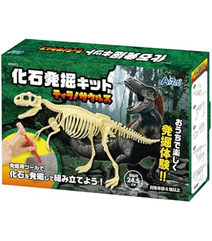 化石 20種 セット [ZG11] 三葉虫 トリケラトプス ティラノサウルス 化石 20種 セット [ZG10] 三葉虫 トリケラトプス